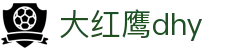 大红鹰dhy(中国)有限公司官网